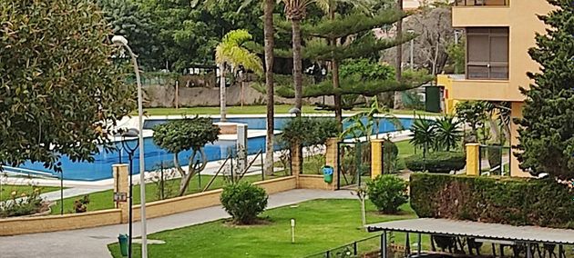 Foto 1 de Venta de estudio en Playamar con terraza y piscina