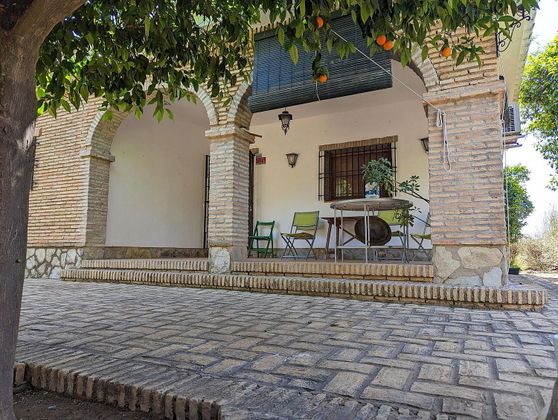 Foto 1 de Venta de chalet en Benacazón de 3 habitaciones con terraza y piscina