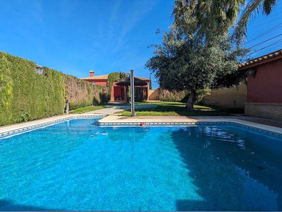 Foto 1 de Xalet en venda a Sanlúcar la Mayor de 1 habitació amb terrassa i piscina