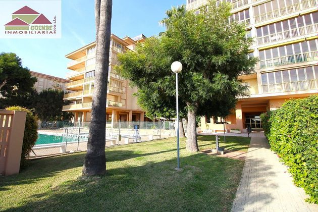 Foto 2 de Pis en venda a avenida Ferrandis Salvador de 2 habitacions amb terrassa i piscina