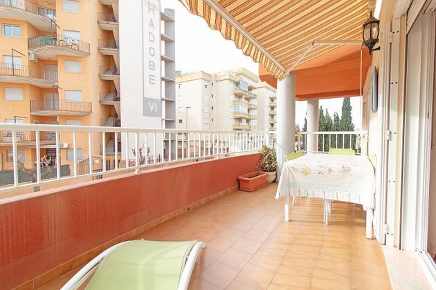 Foto 2 de Pis en venda a calle Arroz y Tartana de 2 habitacions amb terrassa i piscina