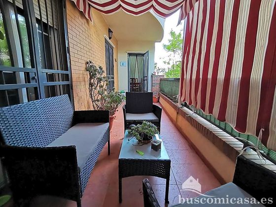 Foto 2 de Piso en venta en Linares de 3 habitaciones con terraza y piscina