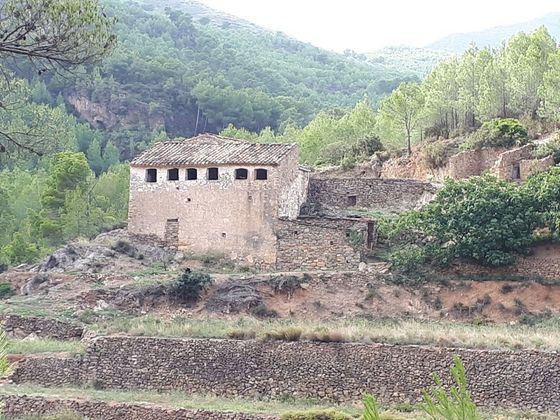 Foto 2 de Casa rural en venda a Lucena del Cid de 5 habitacions amb terrassa i jardí