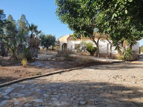 Foto 2 de Casa rural en venta en calle Partida Cachapets de 5 habitaciones con terraza y piscina