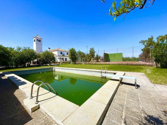 Foto 2 de Venta de casa rural en Carmona de 6 habitaciones con terraza y piscina