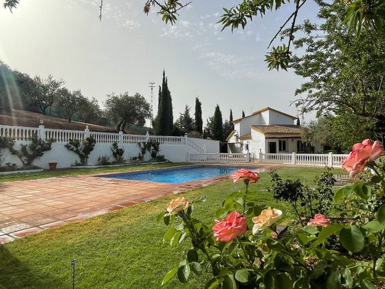 Foto 2 de Xalet en venda a Villanueva del Rosario de 3 habitacions amb terrassa i piscina