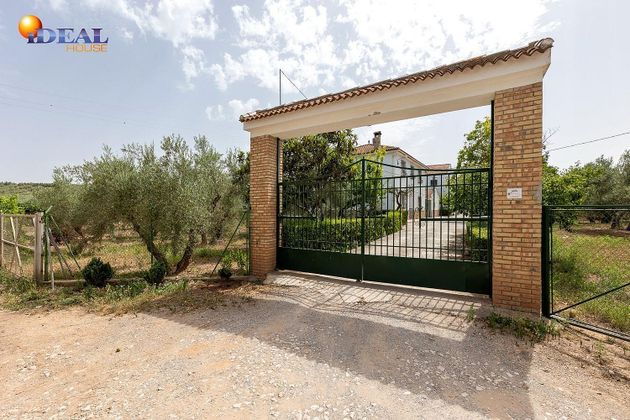 Foto 1 de Xalet en venda a Moraleda de Zafayona de 4 habitacions amb terrassa i piscina