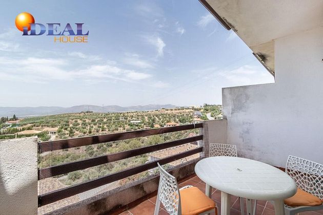 Foto 2 de Pis en venda a Cogollos de la Vega de 2 habitacions amb terrassa i piscina