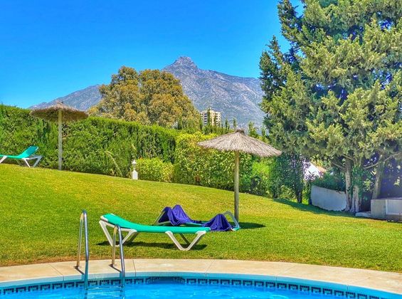 Foto 1 de Pis en venda a Nueva Andalucía centro de 1 habitació amb terrassa i piscina