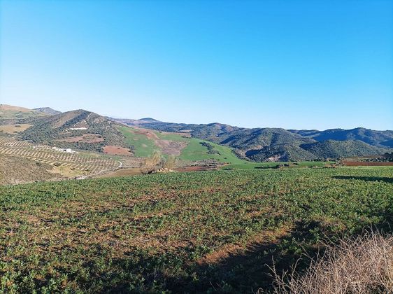 Foto 1 de Venta de terreno en carretera Alora Valle Abdalajis de 30000 m²