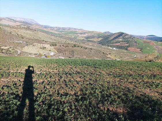 Foto 2 de Venta de terreno en carretera Alora Valle Abdalajis de 30000 m²