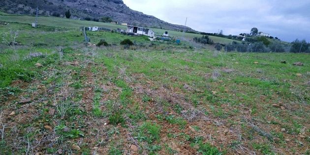 Foto 2 de Venta de terreno en Pizarra de 3500 m²