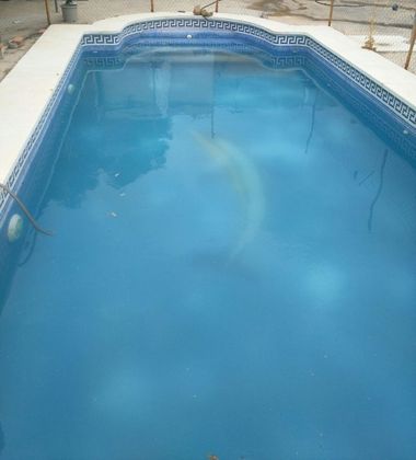 Foto 2 de Alquiler de chalet en Álora de 2 habitaciones con terraza y piscina