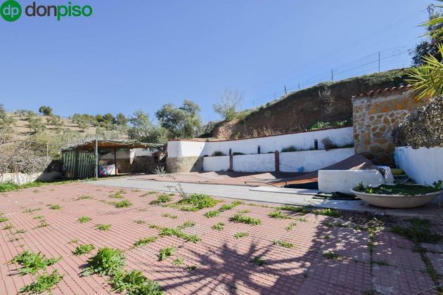 Foto 2 de Casa rural en venda a Polígono Cartuja – La Paz de 1 habitació amb terrassa i piscina