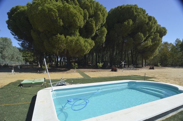 Foto 1 de Casa rural en venda a calle Marchena de 3 habitacions amb terrassa i piscina