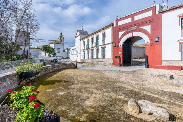 Foto 2 de Casa rural en venda a Palomares del Río de 7 habitacions amb piscina i jardí