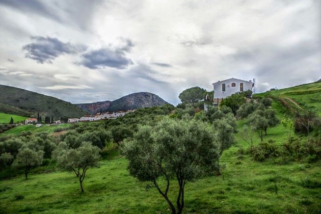 Foto 2 de Casa rural en venda a Alcaucín de 4 habitacions amb terrassa i jardí