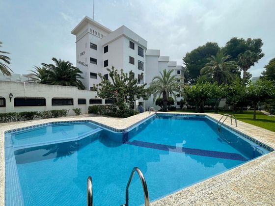 Foto 1 de Piso en venta en calle Jai Alai de 1 habitación con terraza y piscina