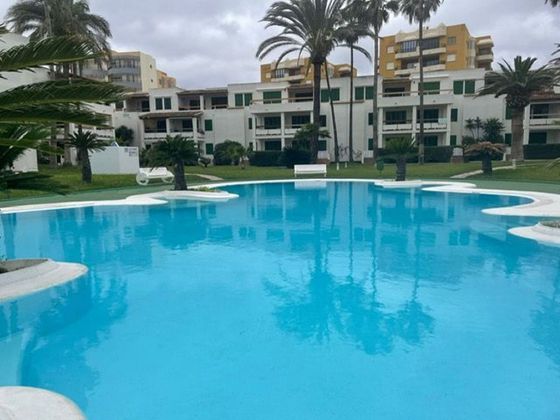 Foto 2 de Estudi en lloguer a calle Les Marines amb terrassa i piscina