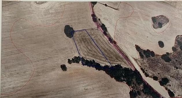 Foto 1 de Venta de terreno en Cervera del Llano de 3200 m²