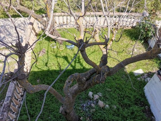 Foto 2 de Xalet en venda a Alcalá la Real de 2 habitacions amb terrassa i jardí