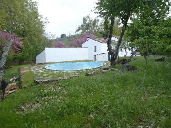 Foto 2 de Casa rural en venta en Constantina de 3 habitaciones con terraza y piscina