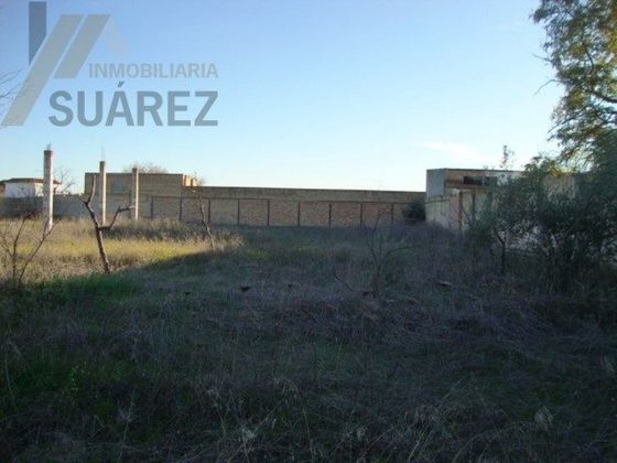 Foto 2 de Venta de terreno en Rinconada (La) de 2600 m²