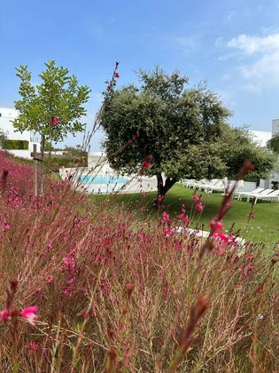 Foto 2 de Dúplex en venda a urbanización Sotogrande de 3 habitacions amb terrassa i piscina