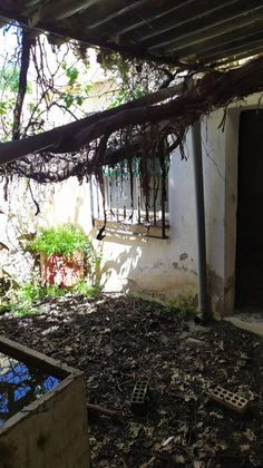 Foto 2 de Venta de casa adosada en Gójar de 3 habitaciones con jardín