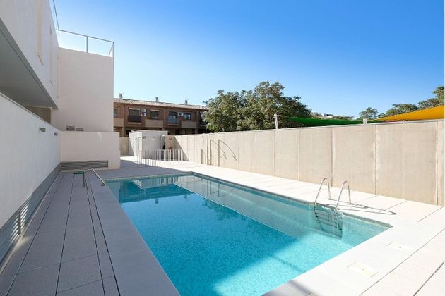 Foto 2 de Pis en venda a calle Camelia de 1 habitació amb terrassa i piscina