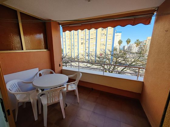 Foto 2 de Piso en alquiler en Playa de Gandia de 1 habitación con terraza y piscina