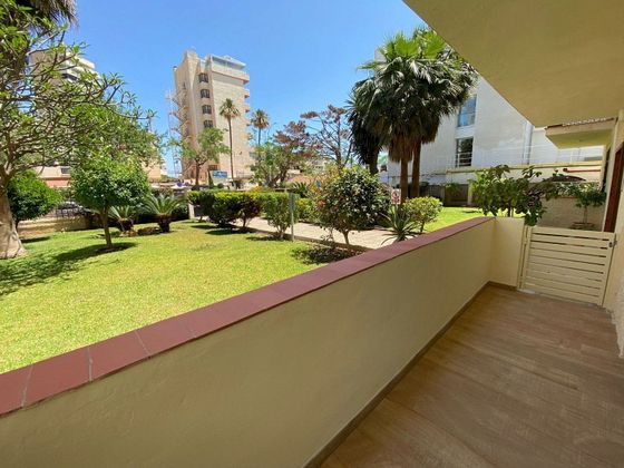 Foto 1 de Venta de piso en Playamar de 1 habitación con terraza y jardín