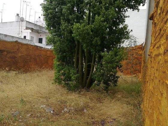 Foto 2 de Venta de terreno en Bellavista de 774 m²