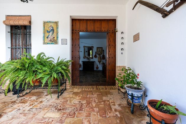 Foto 2 de Casa rural en venda a Lora del Río de 6 habitacions amb terrassa i piscina