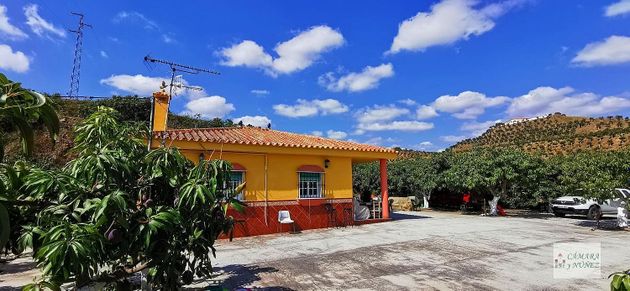 Foto 1 de Xalet en venda a Benamocarra de 3 habitacions amb terrassa i jardí