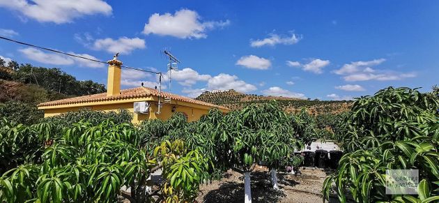 Foto 2 de Venta de chalet en Benamocarra de 3 habitaciones con terraza y jardín