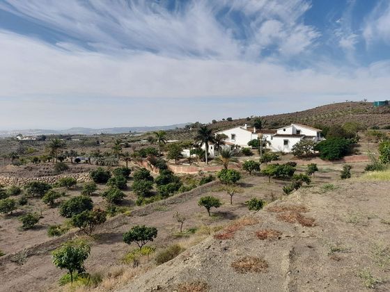 Foto 1 de Venta de terreno en Camino Algarrobo - Las Arenas de 105000 m²