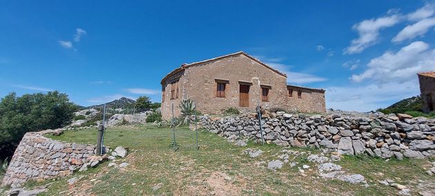 Foto 1 de Casa rural en venda a Lucena del Cid de 3 habitacions amb terrassa i jardí