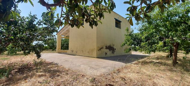 Foto 2 de Casa rural en venda a calle Partida Benadresa de 1 habitació i 30 m²