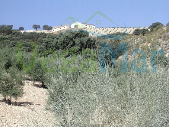 Foto 2 de Venta de terreno en Alhama de Granada de 500000 m²