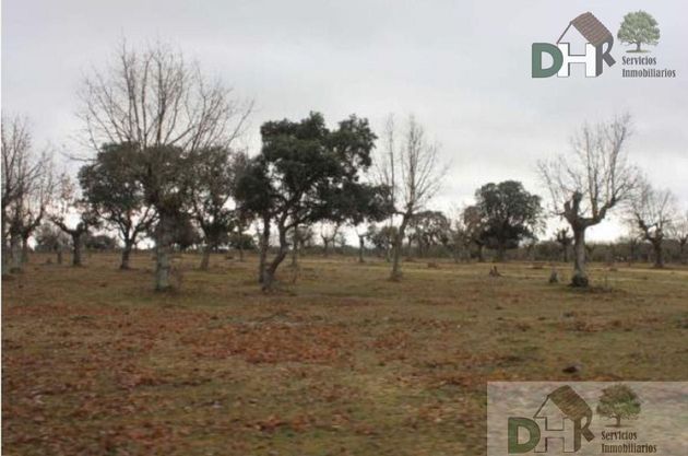 Foto 1 de Venta de terreno en Carmelitas - San Marcos - Campillo de 3000000 m²