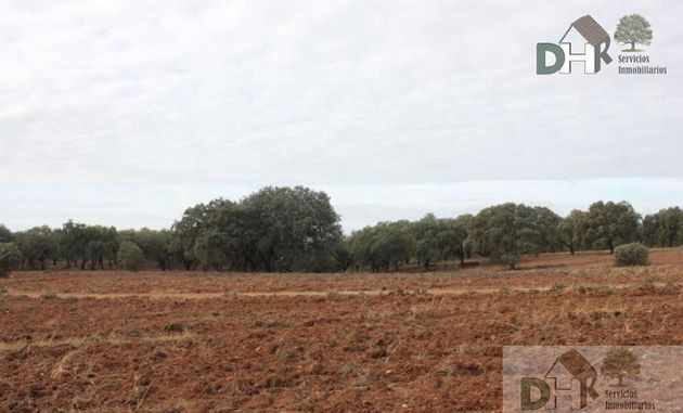 Foto 1 de Venta de terreno en Pardaleras de 1320000 m²