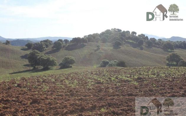 Foto 1 de Venta de terreno en Carmona de 3000000 m²