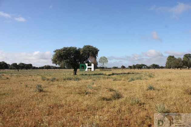 Foto 2 de Venta de terreno en San Roque - Ronda norte de 1350000 m²