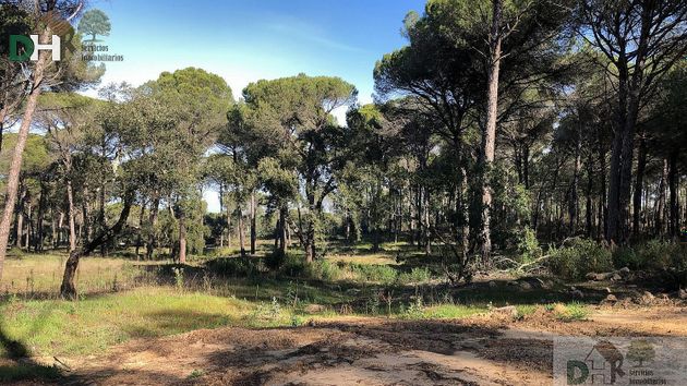 Foto 1 de Venta de terreno en Gibraleón de 480000 m²