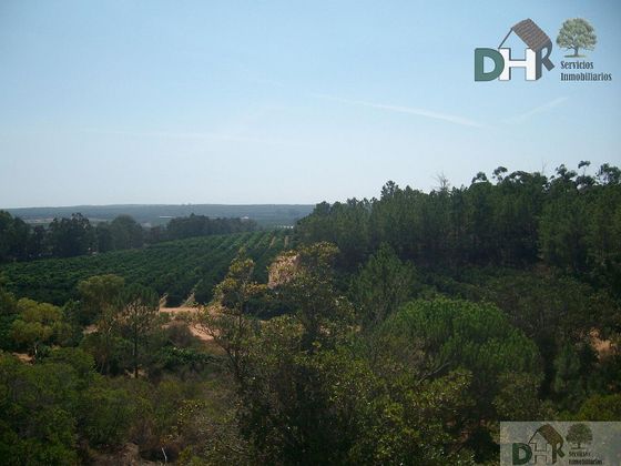 Foto 2 de Venta de terreno en Gibraleón de 480000 m²