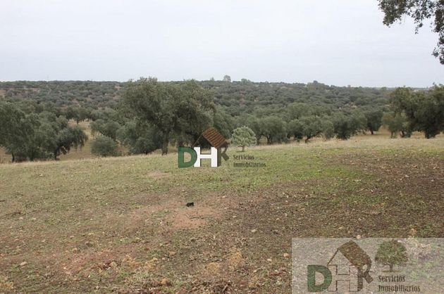Foto 2 de Venta de terreno en San Roque - Ronda norte de 4500000 m²
