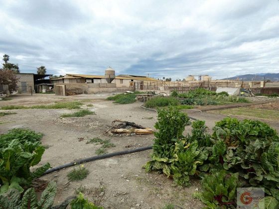 Foto 1 de Casa rural en venda a Playa de Granada de 4 habitacions amb jardí