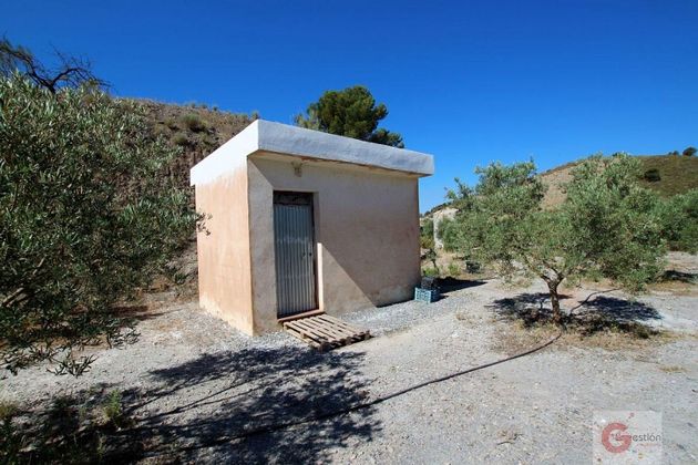 Foto 1 de Casa rural en venda a Los Tablones - La Garnatilla - Puntalón de 1 habitació i 5500 m²