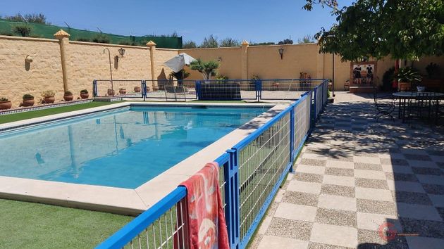 Foto 1 de Xalet en venda a Montilla de 8 habitacions amb terrassa i piscina